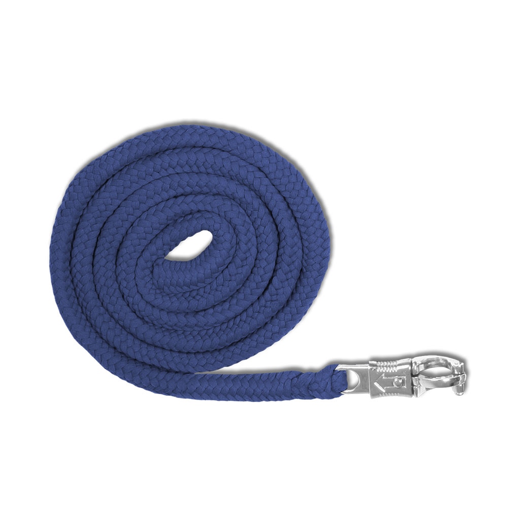 Carly Capples Halfter & Strick Economic