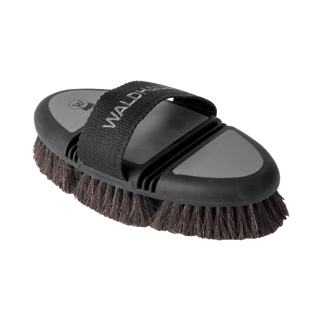 Waldhausen Flex Kardätsche Rosshaar