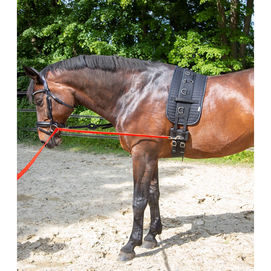 Waldhausen Longierhilfe Equibender