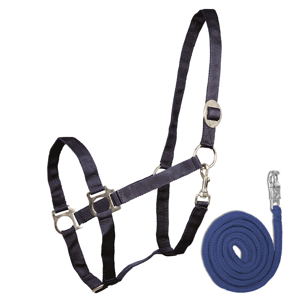 Carly Capples Halfter & Strick Economic