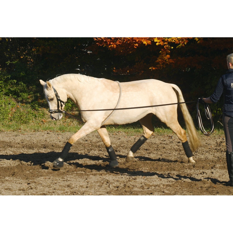 Busse Longierhilfe Cotton