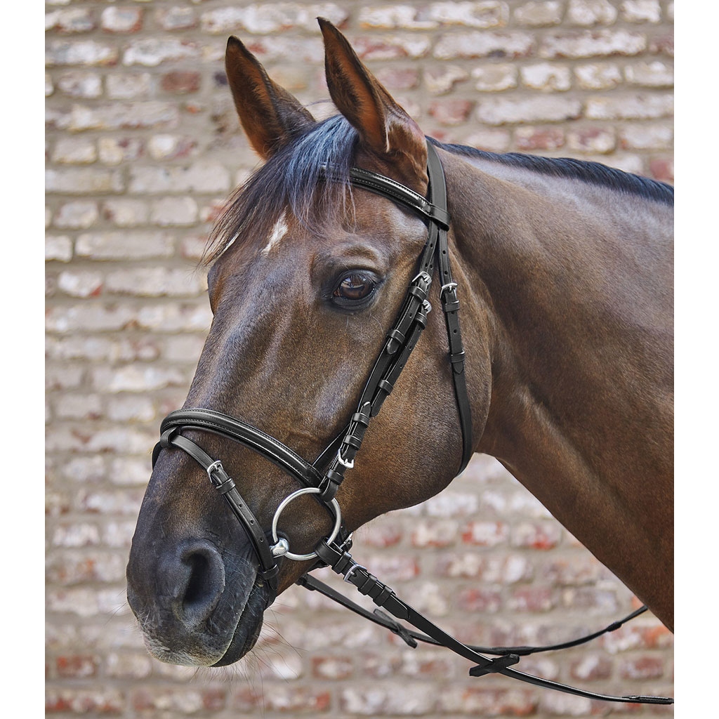 Waldhausen STAR Trensenzaum Basic