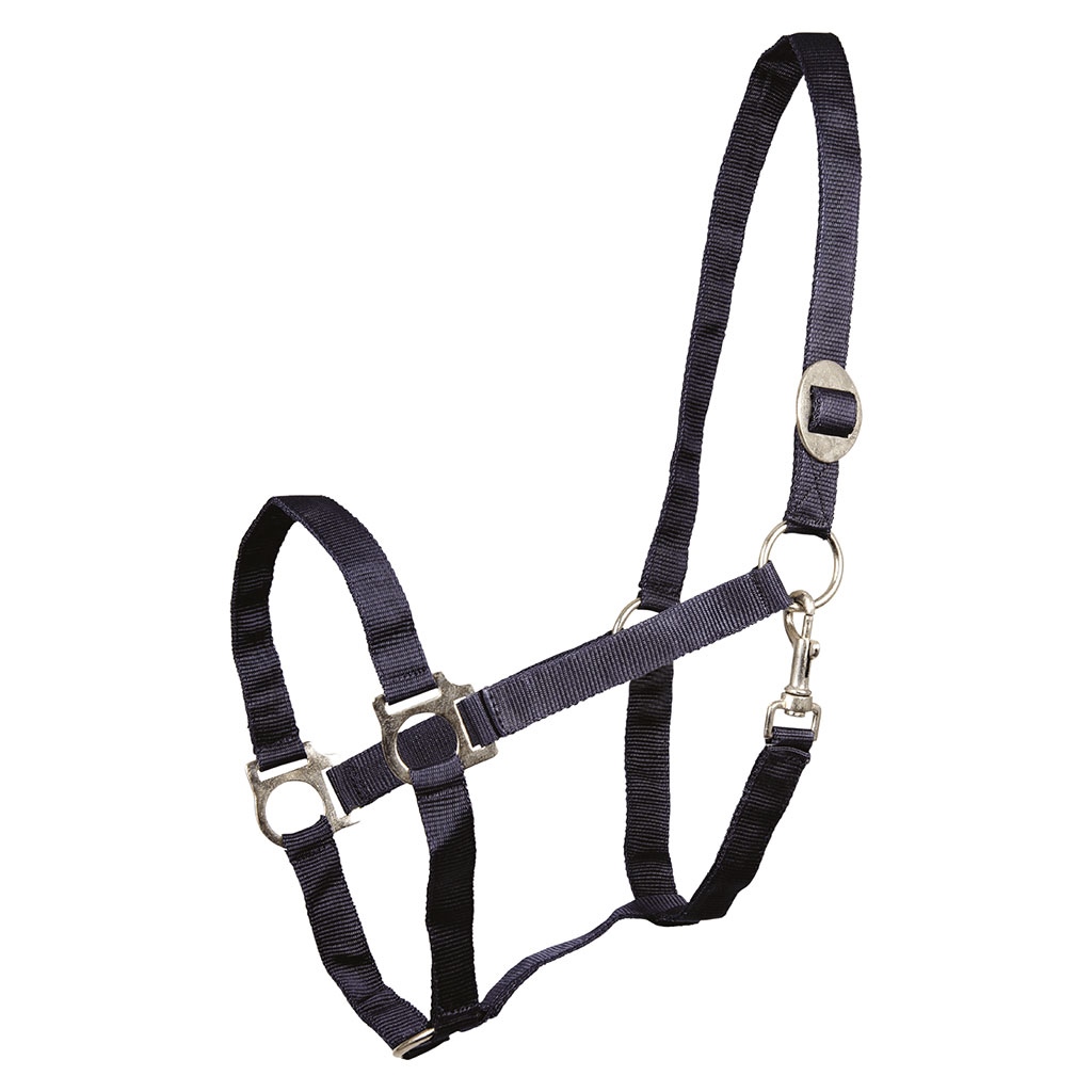 Carly Capples Halfter & Strick Economic